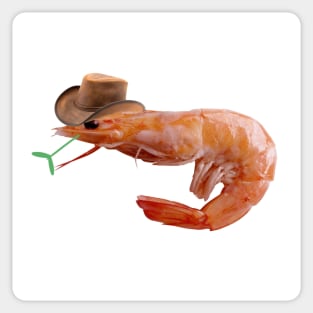 Cowboy Shrimp Sticker